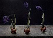 �N���b�J�X