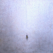 �w���N���X�I�I�J�u�g(��)