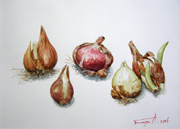 ����(����)