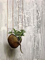 �u�b�_�i�b�c�ɐA��