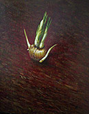 �N���b�J�X