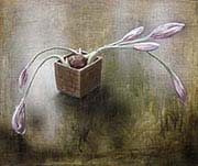 �T�t����