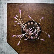 �T�t����