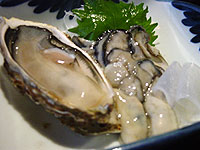 ���y�����X