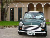 �B�e����