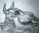 �ؒY�f�b�T��